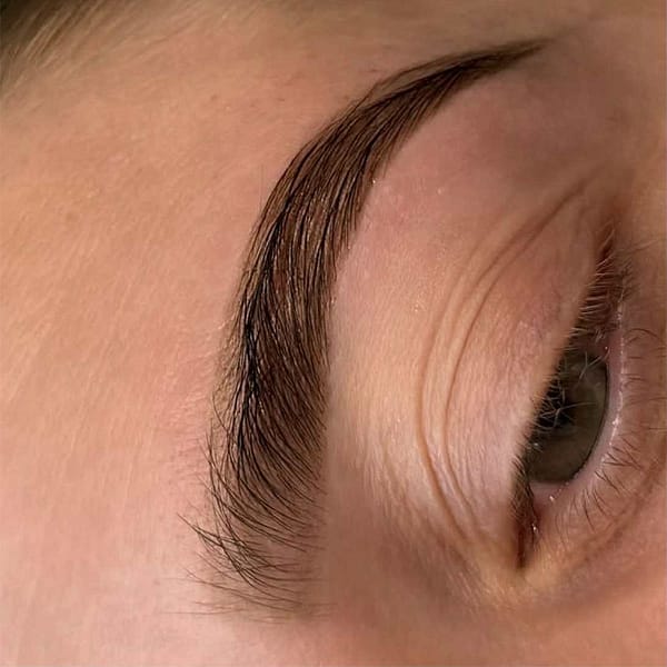 Brow Wax & Tint